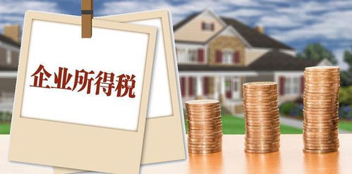 企業所得稅納稅人范疇、征稅規定及會計處理