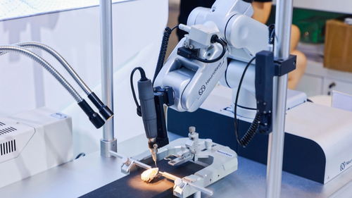 硬核科技企業為何紛紛落地上海生物科技研發高地？